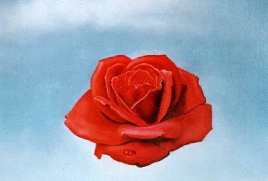 Сальвадор дали роза Сальвадор дали роза