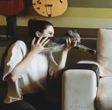Funny cat GIF • Pew Pew Pew Funny CATchine gun The ultimate weapon to kill cat haters! Funny cat GIF • Pew Pew Pew Funny CATchine gun The ultimate weapon to kill cat haters!