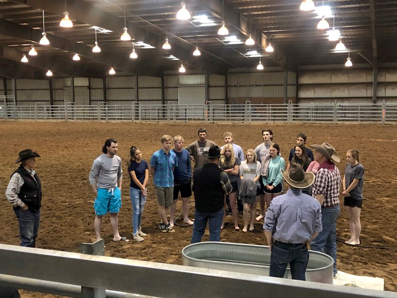 Haynes column 07/07/2019 07/14/2019