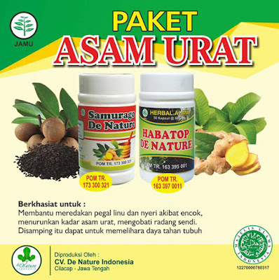 Obat Rematik dan Asam Urat Obat Rematik dan Asam Urat
