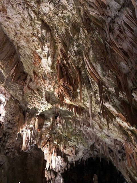 Stalagmit dan Stalaktit Postojna Cave Slovenia