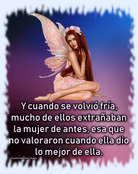 Descripción