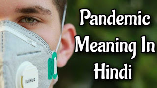 Pandemic meaning in hindi