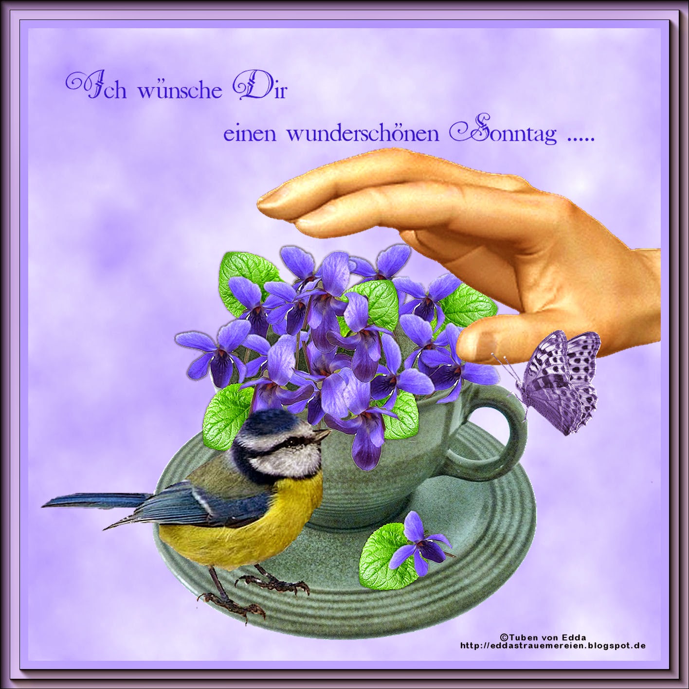 Einen Wunderschönen Sonntag Wünsche Ich Dir Eddas Träumereien: Einen wunderschönen Sonntag