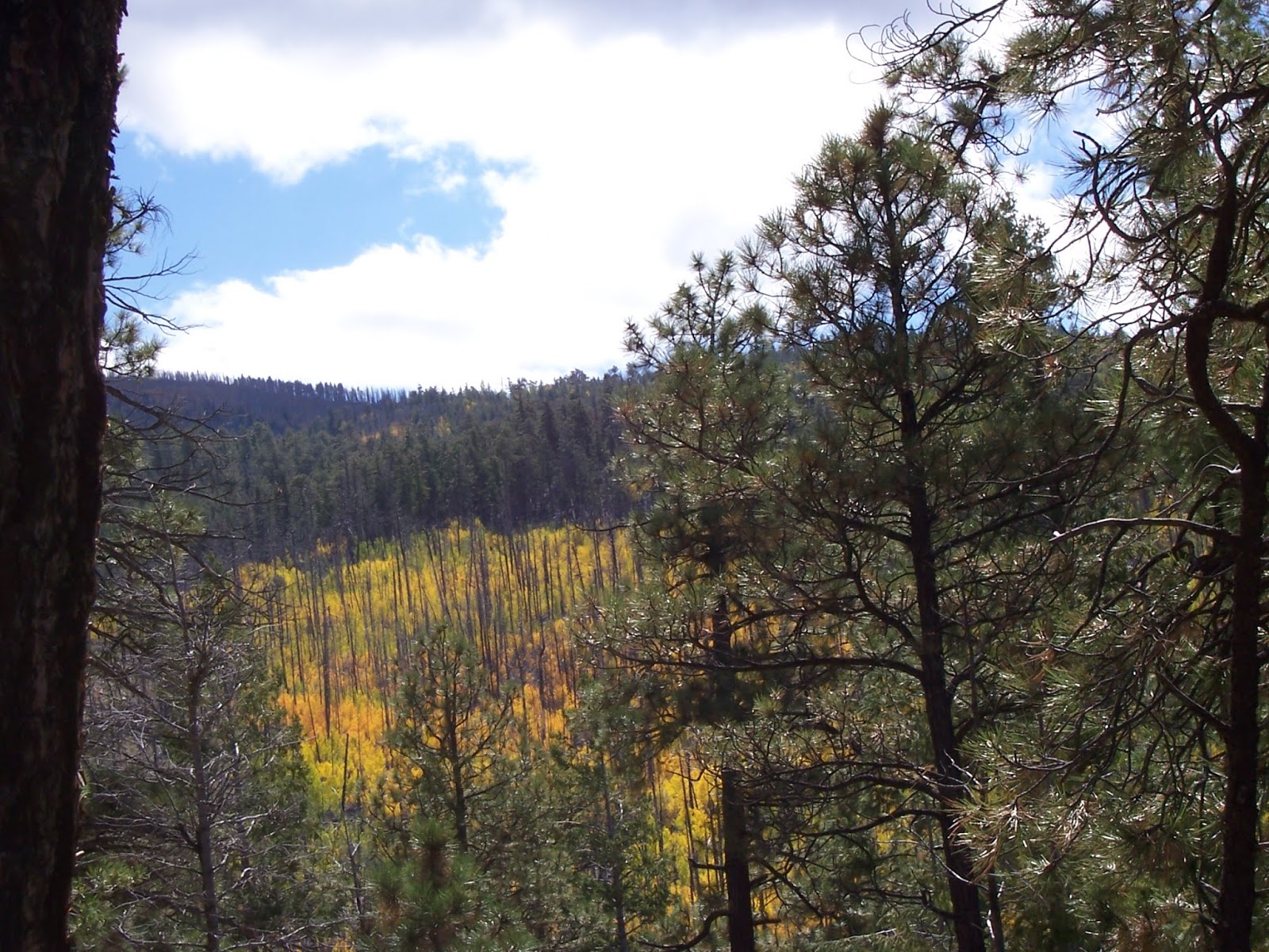 Southern New Mexico Explorer Coffee Pot Trail (FT 69) Apache Kid