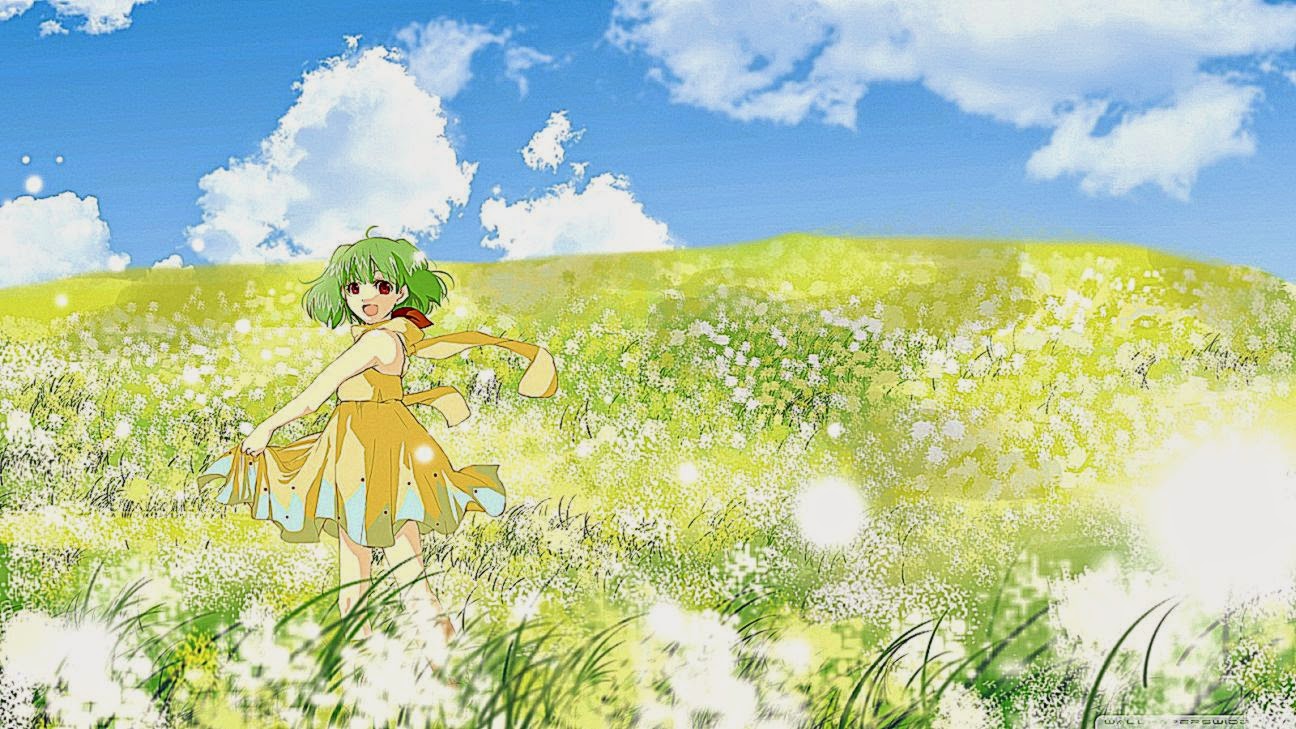 Anime Girl Yellow Flowers Wallpaper Hd Desktop Background
