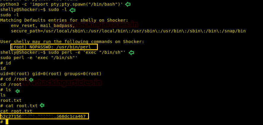 Shocker From Hackthebox. Shellshock and Perl equals to Shocker, by hac#