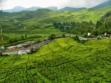 Tempat Wisata Di Puncak Bogor Jawa Barat Tempat Wisata Di Puncak Bogor Jawa Barat