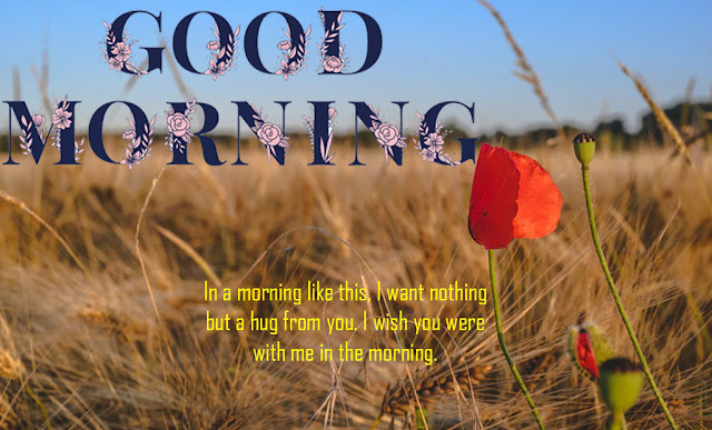 Good Morning Text Messages and Good morning SMS