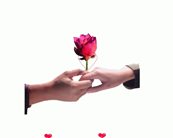 pinterest gif saver pinterest gif saver