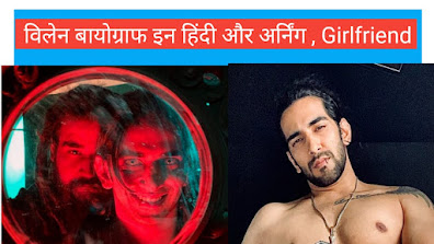 vilen singer biography in hindi Earning