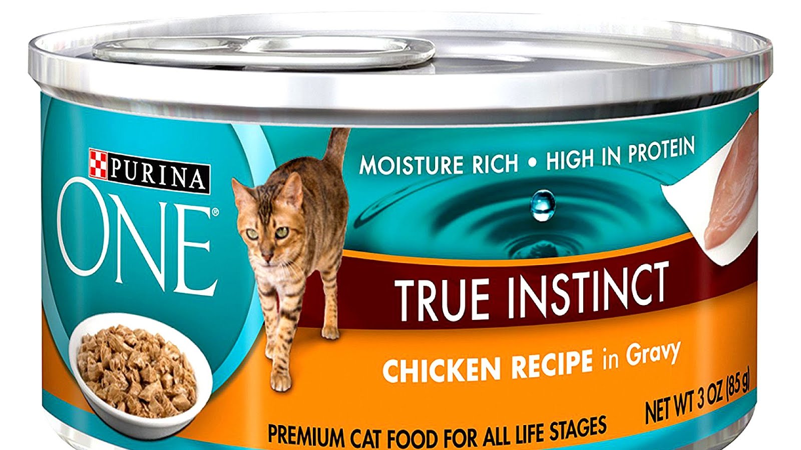 Gravy For Cats Recipe Recipe Choices