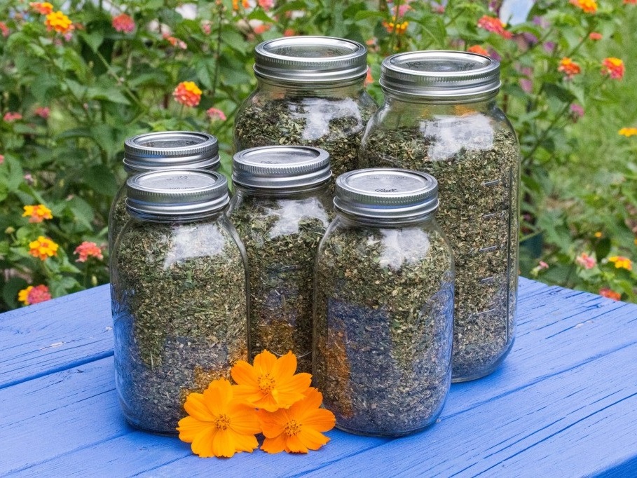 DR. EDIDIA HERBS CURE HIV!!!