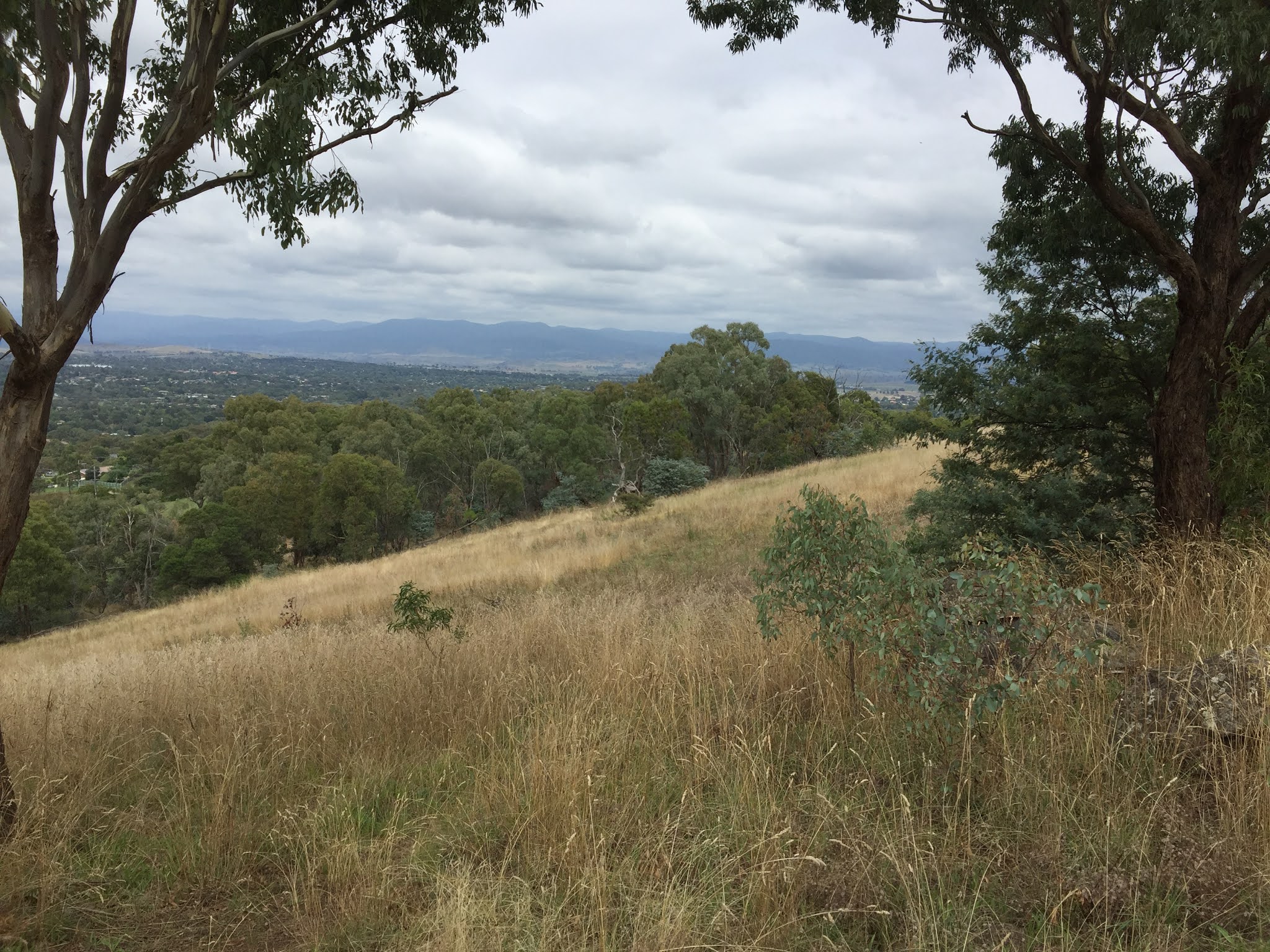 Phil's Bushwalking Blog Urban Canberra Spence, Melba and Mt Rogers