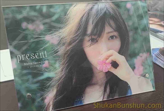 Review Present: Yamaguchi Maho 1st Photobook Disindir Kato Minami