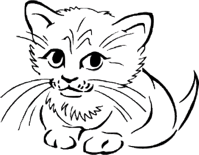 wallpaper hd 1080p: cute cat coloring pages