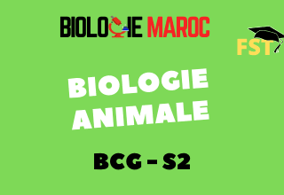Biologie animale Cours+TD+Examens BCG S1 PDF Biologie animale Cours+TD+Examens BCG S1 PDF