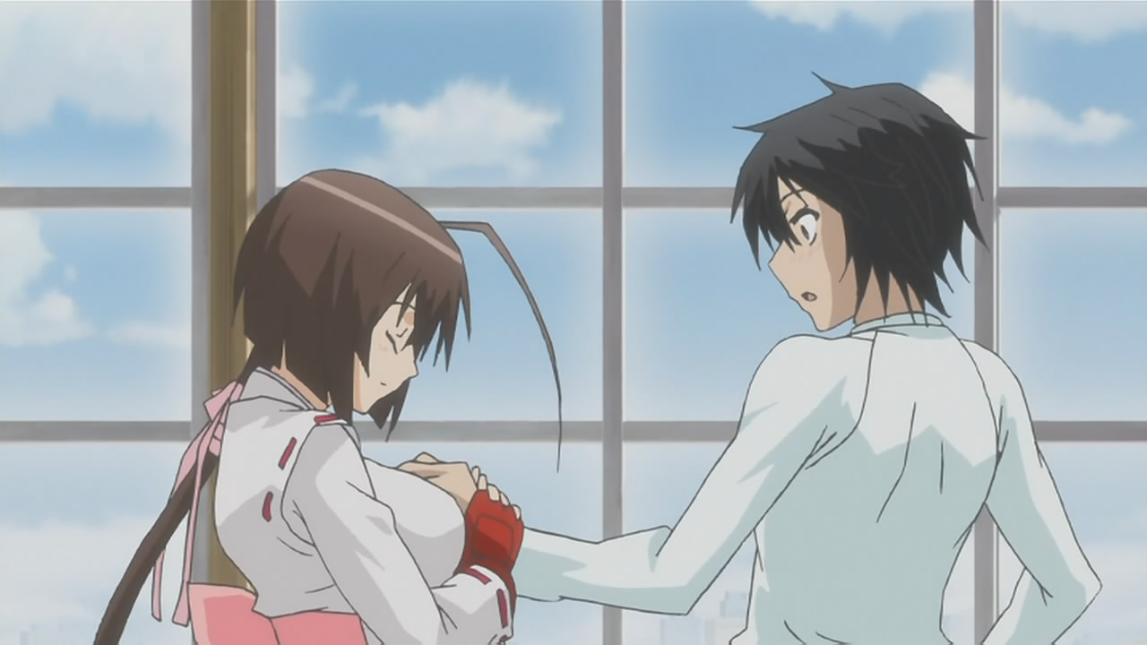 Manga and Anime Maniac: Sekirei Anime
