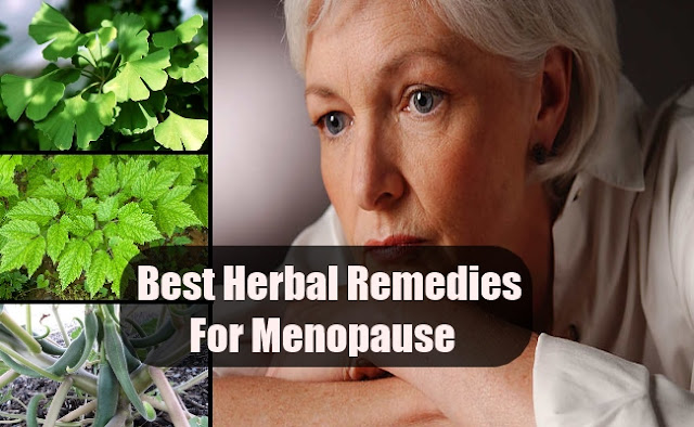 Menopause and Diet According to Ayurveda ,menopause,menopause symptomes,menopause age,menopause meaning,menopause matters,menopause test,menopause the musical,menopause for men,menopause signs,menopause and weight gain,menopause and depression,menopause adalah,menopause and sleep,menopause acne,menopause average age,menopause and hair loss,menopause belly,menopause bloating,menopause belly fat,menopause blood test,menopause baby,menopause brain fog,menopause barbie,menopause back pain,menopause cramps,menopause chills,menopause clinic,menopause constipation,menopause causes,menopause cks,menopause cream,menopause clothing,menopause definition,menopause diet,menopause doctor,menopause depression,menopause dizziness,menopause dryness,menopause dry skin,menopause definition psychology,menopause effects,menopause estrogen,menopause early,menopause estrogen levels,menopause emotions,menopause exercise,menopause exhaustion,menopause early signs,menopause fatigue,menopause fever,menopause for women,menopause forum,menopause fsh,menopause fsh levels,menopause facial hair,menopause guidelines,menopause gif,menopause gifts,menopause gel,menopause gas,menopause groups,menopause greasy hair,menopause gain weight,menopause hot flashes,menopause headaches,menopause hair loss,menopause hormones,menopause hot flushes,menopause help,menopause hormone therapy,menopause hub,menopause in men,menopause icd 10,menopause in women,menopause insomnia,menopause in hindi,menopause itching,menopause itchy skin,menopause in 20s,menopause joint pain,menopause journal,menopause jokes,menopause jean hailes,menopause journal articles,menopause jaw pain,menopause joint aches,menopause joints,menopause kya hai,menopause kit,menopause kya hota hai,menopause keto,menopause knee pain,menopause kbbi,menopause ke lakshan hindi mai,menopause kya hota h,menopause libido,menopause length,menopause labs,menopause leg pain,menopause là gì,menopause long period,menopause lower back pain,menopause low grade fever,menopause medication,menopause magnet,menopause meme,menopause men,menopause mood swings,menopause meaning in hindi,menopause nausea,menopause nhs,menopause night sweats,menopause natural remedies,menopause nice cks,menopause nutrition,menopause nz,menopause not sleeping,menopause osteoporosis,menopause onset,menopause or pregnancy,menopause occurs when,menopause ovary pain,menopause over the counter,menopause opposite,menopause one,menopause pills,menopause periods,menopause pain,menopause problems,menopause ppt,menopause patches,menopause pajamas,menopause products,menopause quiz,menopause quotes,menopause questionnaire,menopause questions,menopause quizlet,menopause quality of life questionnaire pdf,menopause quilt,menopause quora,menopause relief,menopause rash,menopause refers to,menopause remedies,menopause rating scale,menopause rage,menopause refers to quizlet,menopause reversal,menopause symptoms age,menopause stages,menopause side effects,menopause support,menopause supplement,menopause symptoms age 45,menopause treatment,menopause tablets,menopause the musical 2,menopause test kit,menopause tea,menopause type 2,menopause uk,menopause uti,menopause umur,menopause uptodate,menopause uterus,menopause usmle,menopause upset stomach,menopause urine test,menopause vitamins,menopause vaginal odor,menopause vaginal dryness,menopause vertigo,menopause vaginal discharge,menopause vitamin d,menopause video,menopause vitabiotics,menopause weight gain,menopause weight loss,menopause wiki,menopause women,menopause what age,menopause what is it,menopause workout,menopause website,menopause yoga,menopause years,menopause youtube,menopause youngest age,menopause young,menopause yoga teacher training,menopause yellow discharge,menopause young living,menopause zits,menopause zinc,menopause zoladex,menopause zero to finals,menopause zero libido,menopause zinc deficiency,menopause zoloft,menopause z78.0,menopause symptomes english,ménopause symptômes saignement,menopause symptomes en francais,ménopause symptomes désagréables,ménopause symptomes douleurs,menopause symptoms poids,ménopause symptomes fourmillements,ménopause symptomes forum,menopause symptoms age 48,ménopause symptomes anxiété,menopause symptoms age 50,ménopause symptomes angoisse,menopause symptomes ameli,menopause symptoms age 47,menopause symptoms alter,ménopause symptomes bouffées de chaleur,menopause symptome brustschmerzen,menopause symptome bei männern,menopause symptome behandlung,menopause symptome brust,begin menopause symptoms,menopause beschwerden symptome,menopause symptome bei männer,menopause symptomes chez l'homme,ménopause symptomes coeur,ménopause symptomes constipation,menopause symptomes cardiaques,symptomes menopause chez femme,symptome menopause chienne,symptomes menopause combien de temps,ménopause symptomes douleurs articulaires,ménopause symptomes douleurs ventre,ménopause symptomes désagréables forum,ménopause symptomes doctissimo,menopause symptome deutsch,menopause duree symptomes,ménopause symptomes etourdissement,menopause symptomes et traitements,ménopause symptomes et fatigue,ménopause et symptômes,menopause erste symptome,symptome menopause et thyroide,menopause symptomes femme,menopause symptome frauen,menopause symptome fatigue,symptomes menopause frissons,perimenopause symptômes francais,menopause symptome gelenkschmerzen,menopause symptome gewichtszunahme,grossesse ménopause symptômes,menopause symptome gonflement,menopause symptoms humeur,menopause symptome herzrasen,menopause symptome homme,menopause symptome haut,ménopause des hommes symptomes,symptomes ménopause après hystérectomie,hormones ménopause symptomes,menopause symptomes in english,ménopause symptomes insomnie,ménopause symptomes irritabilité,symptome menopause insomnie,symptome menopause jeune,menopause symptome jambes,menopause symptoms uk,menopause symptoms uk nhs,menopause symptome kopfschmerzen,post menopause symptoms uk,early menopause symptoms uk,list of menopause symptoms uk,male menopause symptoms uk,fluoxetine for menopause symptoms uk,ménopause symptomes libido,perimenopause les symptomes,ménopause les symptômes,menopause symptome lindern,symptômes ménopause chez la femme,ménopause tous les symptomes,les symptomes premenopause,menopause symptomes maux de tete,ménopause symptômes menstruations,male menopause symptoms,menopause symptome müdigkeit,menopause symptome mann,menopause symptome männer,ménopause masculine symptômes,symptome menopause mal au ventre,menopause symptomes nausee,menopause symptomes nhs,menopause symptomes neurologiques,ménopause n symptomes,symptomes menopause nuit,ménopause symptomes traitement naturel,symptomes of menopause,menopause ohne symptome,menopause symptomes odeur,ostéoporose menopause symptomes,ménopause symptômes psychologiques,symptoms ménopause palpitations,menopause symptomes precoce,menopause symptomes prise de poids,menopause premiers symptomes,ménopause prématurée symptomes,menopause psychische symptome,menopause symptomes quel age,pré ménopause symptômes quel age,ménopause quel symptomes,menopause symptomes regles,menopause symptomes regles abondantes,symptomes apres menopause,ménopause sans symptomes,symptomes ménopause sous pilule,symptômes ménopause solution,symptomes menopause sous sterilet,menopause sterilet symptome,symptomes menopause avec sterilet,menopause et ses symptomes,menopause symptomes traitements,ménopause tardive symptomes,troubles menopause symptomes,symptome menopause temperature,menopause symptomes uk,symptome menopause uterus,ménopause symptomes vertiges,symptome menopause vomissement,symptômes vasomoteurs ménopause,menopause symptome ventre,ménopause symptomes maux de ventre,menopause symptome wikipedia,ménopause symptomes wikipedia,menopause symptome zyklus,menopause age range,menopause age for women,menopause age in india,menopause age 43,menopause age uk,menopause age 40,menopause age symptoms,menopause age 30,menopause age asian,menopause age and symptoms,menopause age australia,menopause age and signs,menopause age and symptoms in telugu,menopause age and life expectancy,menopause age and pregnancy,menopause age by country,menopause age by race,menopause age bell curve,menopause age begins,menopause age breast pain,menopause age bracket,menopause age bleeding,menopause age breast cancer,menopause age calculator,menopause age chart,menopause age canada,menopause age calculator uk,menopause age chinese,menopause age calculator in india,menopause age can get pregnant,menopause age childless,menopause age distribution,menopause age diet,menopause age distribution graph,menopause age definition,menopause age duration,menopause age depression,menopause age distribution graph uk,menopause age discrimination,menopause age early,menopause age end,menopause age ethnicity,menopause age evolution,menopause age et symptomes,menopause age en francais,menopause age english,menopause age europe,menopause age for female,menopause age for indian ladies,menopause age for dogs,menopause age for ladies,menopause age francais,menopause age factors,menopause age for male,menopause age graph,menopause age genetic,menopause golden age,perimenopause age group,menopause age in gujarati,menopause age weight gain,menopause age hindi,menopause age hereditary,menopause age heavy bleeding,menopause age hot flashes,menopause age how long does it last,menopause age hysterectomy,menopause age hispanic,menopause age hong kong,menopause age in woman,menopause age in hindi,menopause age in tamil,menopause age in india in hindi,menopause age in indian woman,menopause age in usa,menopause age in nigeria,menopause age japan,menopause age journal,menopause age joint pain,average age menopause japan,japanese menopause age,menopause age kenya,menopause ki age kya hai,menopause ki age,menopause ki age in hindi,menopause kis age me hota hai,menopause kis age mein hota hai,menopause age in kerala,menopause age limit,menopause age late,menopause age life expectancy,menopause age longevity,menopause age length,menopause age last period,menopause latest age,menopause last age,menopause age meaning,menopause age meaning in hindi,menopause age man,menopause age male,menopause age marathi,menopause age mother daughter,menopause age malaysia,menopause age maximum,menopause age nz,menopause age nhs,menopause age ncbi,perimenopause age nhs,menopause age in nepal,menopause not normal,menopause age of onset,menopause age of man,menopause age of woman,menopause age of indian woman,menopause age one ovary,menopause age oldest,menopause age of 20,menopause age of 50,menopause age percentages,menopause age pregnancy,menopause age philippines,menopause age partial hysterectomy,menopause age pdf,menopause age predictor,menopause age periods stop,menopause age pcos,menopause age quiz,menopause age quora,menopause quel age,quel age la menopause,perimenopause quel age,menopause a quel age en moyenne,menopause a quel age debut,menopause tardive quel age,menopause age range uk,menopause age range in india,menopause age range australia,menopause age range asian,menopause age reddit,menopause age race,menopause right age,menopause age start,menopause age symptoms in hindi,menopause age statistics,menopause age signs and symptoms,menopause age spots,menopause age singapore,menopause age symptoms in tamil,menopause age tamil,menopause age tagalog,menopause age treatment,menopause age test,menopause age telugu,menopause age thailand,menopause age thyroid,menopause age usa,menopause usual age,menopause upper age limit,perimenopause age uk,average menopause age uk,early menopause age uk,menopause age videos,menopause age vitamin,menopause and age,menopause normal values,vegan menopause age,vegetarian menopause age,menopause age woman,menopause age with one ovary,menopause age wikipedia,menopause age world health organization,menopause age wiki,menopause age who,menopause age world,menopause age youngest,menopause age yoga,menopause young age,does menopause age your face,does menopause age you,does menopause age you faster,does menopause age your skin,menopause age 50 years,menopause meaning in urdu,menopause meaning in english,menopause meaning in tamil,menopause meaning in telugu,menopause meaning in marathi,menopause meaning in malayalam,menopause meaning in nepali,menopause meaning and examples,menopause meaning and sentence,menopausal meaning adjective,menopausal meaning and pronunciation,menopause age meaning in urdu,menopause andropause meaning,menopause meaning bengali,menopause meaning in bengali,menopause meaning bd,menopause baby meaning,menopause bengali meaning,menopause definition biology,menopause definition by who,menopause definition breast cancer,menopause climacteric meaning in tamil,menopausal climacteric meaning,menopause meaning in chinese,menopause meaning in cambridge,define menopause class 10,define menopause class 8,menopause meaning dictionary,menopause dream meaning,menopause day meaning in malayalam,menopause discharge meaning,menopause doctor meaning,menopause day meaning,menopause meaning urban dictionary,menopause meaning oxford dictionary,menopause meaning examples,menopause etymology meaning,menopause early meaning,menopause experience meaning,menopause means no eggs,early menopause meaning in hindi,estradiol menopause meaning,menopause meaning of gujarati,menopause meaning of malayalam,menopause for meaning,menopausal flushing meaning,menopause meaning of word,menopause meaning in farsi,female menopause meaning in hindi,female menopause meaning,menopause meaning gujarati,menopause meaning in gujarati,menopause girl meaning,menopause girl meaning in tamil,menopause definition gp notebook,menopause definition guidelines,menopause definition government,menopausal gonadotropin meaning,menopause meaning hindi,menopause history meaning,menopause hindi meaning,menopause ka hindi meaning,male menopause meaning in hindi,menopause and diet,menopause and diet uk,menopause and dieting and exercise,menopause and diet mayo clinic,menopause and diet pills,menopause and diet books,menopause and dietician,menopause and diethylstilbestrol,menopause diet and exercise plan,menopause and atkins diet,menopause and alkaline diet,menopause and food allergies,menopause and food aversions,menopause and food allergies increasing,menopause diet australia,menopause diet app,menopause diet advice,menopause diet belly fat,menopause diet book amazon,menopause diet breakfast,menopause diet book review,menopause diet blog,menopause and binge eating,menopause and best foods,menopause and diet changes,menopause and carnivore diet,menopause and cambridge diet,menopause and food cravings,menopause and eating clean,menopause diet chart,menopause diet cookbook,menopause and eating disorders,menopause diet dr axe,menopause diet daily mail,menopause diet doctor,menopause diet dietitian,menopause depression diet,menopause detox diet,menopause daily diet,menopause diet and exercise,menopause and eating eggs,perimenopause diet and exercise,postmenopausal diet and exercise plan,perimenopause diet and exercise uk,menopause and excessive eating,menopause food and exercise,menopause diet for weight loss,menopause diet for hot flushes,menopause diet for belly fat,menopause diet for hot flashes,menopause diet for energy,menopause diet for vegans,menopause and gluten free diet,menopause fasting diet,menopause and weight gain diet,menopause and diet health,menopause and hypothyroidism diet,menopause and hcg diet,menopause and healthy diet,menopause and eating habits,menopause diet help,menopause diet healthline,menopause and healthy eating,menopause and food intolerance,menopause diet in hindi,menopause diet in telugu,menopause diet in ayurveda,menopause diet in tamil,menopause diet indian,menopause and intuitive eating,menopause indian diet plan,menopause and junk food,menopause japanese diet,menopause and keto diet,menopause and ketogenic diet,perimenopause and keto diet,perimenopause and ketogenic diet,post menopause and keto diet,menopause keto diet plan,menopause and lchf diet,menopause diet lose weight,menopause and weight loss diet,menopause diet food list,menopause food list,menopause and low carb diet,menopause and mediterranean diet,menopause and eating meat,menopause diet menu,menopause diet menu plan,menopause diet macros,menopause matters diet,menopause metabolism diet,menopause diet nz,menopause diet nhs,menopause diet ncbi,menopause diet naturally,menopause and night eating,menopause and not eating,menopause night diet,menopause foods not to eat,menopause overeating,books on menopause and diet,best books on menopause and diet,menopause and paleo diet,menopause diet plan,menopause diet plan to lose weight,menopause diet pdf,menopause diet plan uk,menopause diet plan australia,menopause diet plan recipes,menopause diet recipes,menopause diet reviews,menopause and raw food diet,menopause reset diet,menopause recommended diet,menopause relief diet,menopause recovery diet,menopause food recipes,menopause diet and supplements,menopause and food sensitivities,menopause and eating sugar,menopause diet sheet,menopause diet sample menu,menopause diet shopping list,menopause diet sample,menopause and spicy foods,menopause and the diet,menopause and eating too much,menopause and foods to avoid,menopause and foods to eat,menopause diet to lose weight,menopause diet tips,menopause diet to lose belly fat,menopause diet to reduce hot flashes,menopause foods uk,menopause and vegan diet,menopause and vegetarian diet,menopause diet and vitamins,menopause diet vegetables,perimenopause and vegan diet,perimenopause diet vitamins,menopause diet and weight gain,menopause diet weight loss,menopause diet weight loss uk,menopause diet what to eat,menopause diet weight,menopause weight loss diet,menopause weekly diet plan,menopause foods with estrogen,menopause diet youtube,natural remedies for menopause,natural remedies for menopause night sweats,natural remedies for menopause dryness,natural remedies for menopause nz,natural remedies for menopause headaches,natural remedies for menopause australia,natural remedies for menopause bloating,natural remedies for menopause sleeplessness,natural remedies for menopause sweats,natural remedies for menopause and weight gain,natural remedies for menopause and hot flashes,natural remedies for menopause after hysterectomy,natural remedies for menopause anger,natural remedies for menopause anxiety,natural remedies for menopause aching joints,natural remedies for menopause aches and pains,natural remedies for menopause bleeding,natural remedies for menopause brain fog,natural remedies for menopause belly fat,natural remedies for menopause breast pain,natural remedies for menopause black cohosh,natural remedies for menopause boots,natural remedies for menopausal breast tenderness,natural remedies for menopause cramps,natural remedies for menopause constipation,natural remedies for menopause chills,home remedies for menopause cramps,natural remedies for menopause mood changes,natural remedies for menopause after breast cancer,natural remedies to combat menopause,natural remedies for menopause dr axe,natural remedies for menopause depression,natural remedies for menopause dizziness,natural remedies for menopause dry skin,natural remedies for menopause dry eyes,home remedies for menopause dryness,natural remedies for perimenopause depression,natural remedies for menopause emotions,natural remedies for menopause exhaustion,natural remedies for early menopause,natural remedies for early menopause symptoms,natural remedies for menopause side effects,home remedies for early menopause,natural cure for early menopause,natural remedies for menopause fatigue,natural remedies for menopause flushes,natural remedies for female menopause,natural remedies for perimenopause fatigue,home remedies for menopause fatigue,natural remedies for menopause hot flashes,natural remedies for menopause hot flushes,natural remedies for menopause weight gain,natural remedies for perimenopause weight gain,home remedies for menopause weight gain,natural herbs for menopause weight gain,natural relief for menopause weight gain,natural remedies good for menopause,best natural remedy for menopause weight gain,natural remedies for menopause heavy bleeding,natural remedies for menopause heart palpitations,natural remedies for menopause hormone imbalance,natural remedies for menopause hair loss,natural remedies for menopause hot sweats,natural remedies for menopause heavy periods,natural remedies for menopause itching,natural remedies for menopause irritability,natural remedies for menopause insomnia,home remedies for menopause in india,home remedies for menopause in hindi,natural remedies for perimenopause insomnia,home remedies for menopause itching,natural remedies for perimenopause irritability,natural remedies for menopause joint pain,natural remedies for joint pain during menopause,natural remedies for menopause uk,best natural remedies for menopause uk,natural remedies for menopause mood swings uk,natural remedies for menopause hot flushes uk,natural remedies for menopause symptoms uk,natural remedies for menopause night sweats uk,natural remedies for menopause low mood,natural remedies for menopause libido,natural remedies for menopause memory loss,natural remedies menopause loss libido,home remedies for menopause hair loss,natural herbs for menopause weight loss,home remedies for menopause weight loss,natural remedies for menopause mood swings,natural remedies for menopause migraines,natural remedies for menopause moodiness,natural remedies for menopause memory problems,natural remedies for menopause moods,natural remedies for menopause mumsnet,natural remedies for menopause nhs,natural remedies for menopause nausea,natural remedies for perimenopause night sweats,home remedies for menopause night sweats,natural cures for menopause night sweats,natural remedies for symptoms of menopause,natural remedies of menopause,natural remedies for symptoms of perimenopause,natural cures for symptoms of menopause,natural relief of menopause symptoms,home remedies of menopause,natural treatments of menopause,natural herbs on menopause,natural remedies for menopause pain,natural remedies for menopause panic attacks,natural remedy for menopause periods,natural remedies for perimenopause,natural remedies for premature menopause,natural remedies for postmenopausal,home remedies for menopause problems,home remedies for menopause pain,natural remedies for menopause relief,natural remedies for menopause rage,natural remedies for menopause reviews,natural remedies for menopause water retention,natural herbs for menopause relief,home remedies for menopause relief,natural remedy for menopause herbs,natural remedies to reverse menopause,natural remedies for menopause symptoms,natural remedies for menopause sleep problems,natural remedies for menopause south africa,natural remedies for menopause symptoms hot flashes,natural remedies for menopause tiredness,natural remedies for menopause that work,natural remedies for the menopause,natural remedies for the menopause uk,natural remedies for the menopause symptoms,natural remedies for perimenopause tiredness,natural remedies for menopause hair thinning,home remedies for the menopause,natural remedies for perimenopause uk,home remedies for menopause uk,what natural remedies can you take for menopause,herbal remedies for menopause night sweats,natural treatment for menopause night sweats,natural remedies for post menopausal night sweats,natural remedies for hot flashes and night sweats in menopause,natural remedies for hot flashes and night sweats during menopause,natural remedies for hot flushes and night sweats in menopause uk,best natural remedy for menopausal night sweats,best herbal remedy for menopause night sweats,natural remedies for night sweats during menopause,natural remedies for night sweats due to menopause,home remedies for night sweats during menopause,home remedies for night sweats from menopause,natural remedies for night sweats in menopause,natural remedy for night sweats in the menopause,natural treatment for menopause dryness,natural cure for menopause dryness,natural relief for menopause dryness,natural remedies postmenopausal dryness,natural treatment for postmenopausal dryness,home remedies for post menopausal dryness,natural remedies for dryness after menopause ,hormone therapy side effects,hormonal therapy for prostate cancer,Menopause and Diet According to Ayurveda ,menopause,menopause symptomes,menopause age,menopause meaning,menopause matters,menopause test,menopause the musical,menopause for men,menopause signs,menopause and weight gain,menopause and depression,menopause adalah,menopause and sleep,menopause acne,menopause average age,menopause and hair loss,menopause belly,menopause bloating,menopause belly fat,menopause blood test,menopause baby,menopause brain fog,menopause barbie,menopause back pain,menopause cramps,menopause chills,menopause clinic,menopause constipation,menopause causes,menopause cks,menopause cream,menopause clothing,menopause definition,menopause diet,menopause doctor,menopause depression,menopause dizziness,menopause dryness,menopause dry skin,menopause definition psychology,menopause effects,menopause estrogen,menopause early,menopause estrogen levels,menopause emotions,menopause exercise,menopause exhaustion,menopause early signs,menopause fatigue,menopause fever,menopause for women,menopause forum,menopause fsh,menopause fsh levels,menopause facial hair,menopause guidelines,menopause gif,menopause gifts,menopause gel,menopause gas,menopause groups,menopause greasy hair,menopause gain weight,menopause hot flashes,menopause headaches,menopause hair loss,menopause hormones,menopause hot flushes,menopause help,menopause hormone therapy,menopause hub,menopause in men,menopause icd 10,menopause in women,menopause insomnia,menopause in hindi,menopause itching,menopause itchy skin,menopause in 20s,menopause joint pain,menopause journal,menopause jokes,menopause jean hailes,menopause journal articles,menopause jaw pain,menopause joint aches,menopause joints,menopause kya hai,menopause kit,menopause kya hota hai,menopause keto,menopause knee pain,menopause kbbi,menopause ke lakshan hindi mai,menopause kya hota h,menopause libido,menopause length,menopause labs,menopause leg pain,menopause là gì,menopause long period,menopause lower back pain,menopause low grade fever,menopause medication,menopause magnet,menopause meme,menopause men,menopause mood swings,menopause meaning in hindi,menopause nausea,menopause nhs,menopause night sweats,menopause natural remedies,menopause nice cks,menopause nutrition,menopause nz,menopause not sleeping,menopause osteoporosis,menopause onset,menopause or pregnancy,menopause occurs when,menopause ovary pain,menopause over the counter,menopause opposite,menopause one,menopause pills,menopause periods,menopause pain,menopause problems,menopause ppt,menopause patches,menopause pajamas,menopause products,menopause quiz,menopause quotes,menopause questionnaire,menopause questions,menopause quizlet,menopause quality of life questionnaire pdf,menopause quilt,menopause quora,menopause relief,menopause rash,menopause refers to,menopause remedies,menopause rating scale,menopause rage,menopause refers to quizlet,menopause reversal,menopause symptoms age,menopause stages,menopause side effects,menopause support,menopause supplement,menopause symptoms age 45,menopause treatment,menopause tablets,menopause the musical 2,menopause test kit,menopause tea,menopause type 2,menopause uk,menopause uti,menopause umur,menopause uptodate,menopause uterus,menopause usmle,menopause upset stomach,menopause urine test,menopause vitamins,menopause vaginal odor,menopause vaginal dryness,menopause vertigo,menopause vaginal discharge,menopause vitamin d,menopause video,menopause vitabiotics,menopause weight gain,menopause weight loss,menopause wiki,menopause women,menopause what age,menopause what is it,menopause workout,menopause website,menopause yoga,menopause years,menopause youtube,menopause youngest age,menopause young,menopause yoga teacher training,menopause yellow discharge,menopause young living,menopause zits,menopause zinc,menopause zoladex,menopause zero to finals,menopause zero libido,menopause zinc deficiency,menopause zoloft,menopause z78.0,menopause symptomes english,ménopause symptômes saignement,menopause symptomes en francais,ménopause symptomes désagréables,ménopause symptomes douleurs,menopause symptoms poids,ménopause symptomes fourmillements,ménopause symptomes forum,menopause symptoms age 48,ménopause symptomes anxiété,menopause symptoms age 50,ménopause symptomes angoisse,menopause symptomes ameli,menopause symptoms age 47,menopause symptoms alter,ménopause symptomes bouffées de chaleur,menopause symptome brustschmerzen,menopause symptome bei männern,menopause symptome behandlung,menopause symptome brust,begin menopause symptoms,menopause beschwerden symptome,menopause symptome bei männer,menopause symptomes chez l'homme,ménopause symptomes coeur,ménopause symptomes constipation,menopause symptomes cardiaques,symptomes menopause chez femme,symptome menopause chienne,symptomes menopause combien de temps,ménopause symptomes douleurs articulaires,ménopause symptomes douleurs ventre,ménopause symptomes désagréables forum,ménopause symptomes doctissimo,menopause symptome deutsch,menopause duree symptomes,ménopause symptomes etourdissement,menopause symptomes et traitements,ménopause symptomes et fatigue,ménopause et symptômes,menopause erste symptome,symptome menopause et thyroide,menopause symptomes femme,menopause symptome frauen,menopause symptome fatigue,symptomes menopause frissons,perimenopause symptômes francais,menopause symptome gelenkschmerzen,menopause symptome gewichtszunahme,grossesse ménopause symptômes,menopause symptome gonflement,menopause symptoms humeur,menopause symptome herzrasen,menopause symptome homme,menopause symptome haut,ménopause des hommes symptomes,symptomes ménopause après hystérectomie,hormones ménopause symptomes,menopause symptomes in english,ménopause symptomes insomnie,ménopause symptomes irritabilité,symptome menopause insomnie,symptome menopause jeune,menopause symptome jambes,menopause symptoms uk,menopause symptoms uk nhs,menopause symptome kopfschmerzen,post menopause symptoms uk,early menopause symptoms uk,list of menopause symptoms uk,male menopause symptoms uk,fluoxetine for menopause symptoms uk,ménopause symptomes libido,perimenopause les symptomes,ménopause les symptômes,menopause symptome lindern,symptômes ménopause chez la femme,ménopause tous les symptomes,les symptomes premenopause,menopause symptomes maux de tete,ménopause symptômes menstruations,male menopause symptoms,menopause symptome müdigkeit,menopause symptome mann,menopause symptome männer,ménopause masculine symptômes,symptome menopause mal au ventre,menopause symptomes nausee,menopause symptomes nhs,menopause symptomes neurologiques,ménopause n symptomes,symptomes menopause nuit,ménopause symptomes traitement naturel,symptomes of menopause,menopause ohne symptome,menopause symptomes odeur,ostéoporose menopause symptomes,ménopause symptômes psychologiques,symptoms ménopause palpitations,menopause symptomes precoce,menopause symptomes prise de poids,menopause premiers symptomes,ménopause prématurée symptomes,menopause psychische symptome,menopause symptomes quel age,pré ménopause symptômes quel age,ménopause quel symptomes,menopause symptomes regles,menopause symptomes regles abondantes,symptomes apres menopause,ménopause sans symptomes,symptomes ménopause sous pilule,symptômes ménopause solution,symptomes menopause sous sterilet,menopause sterilet symptome,symptomes menopause avec sterilet,menopause et ses symptomes,menopause symptomes traitements,ménopause tardive symptomes,troubles menopause symptomes,symptome menopause temperature,menopause symptomes uk,symptome menopause uterus,ménopause symptomes vertiges,symptome menopause vomissement,symptômes vasomoteurs ménopause,menopause symptome ventre,ménopause symptomes maux de ventre,menopause symptome wikipedia,ménopause symptomes wikipedia,menopause symptome zyklus,menopause age range,menopause age for women,menopause age in india,menopause age 43,menopause age uk,menopause age 40,menopause age symptoms,menopause age 30,menopause age asian,menopause age and symptoms,menopause age australia,menopause age and signs,menopause age and symptoms in telugu,menopause age and life expectancy,menopause age and pregnancy,menopause age by country,menopause age by race,menopause age bell curve,menopause age begins,menopause age breast pain,menopause age bracket,menopause age bleeding,menopause age breast cancer,menopause age calculator,menopause age chart,menopause age canada,menopause age calculator uk,menopause age chinese,menopause age calculator in india,menopause age can get pregnant,menopause age childless,menopause age distribution,menopause age diet,menopause age distribution graph,menopause age definition,menopause age duration,menopause age depression,menopause age distribution graph uk,menopause age discrimination,menopause age early,menopause age end,menopause age ethnicity,menopause age evolution,menopause age et symptomes,menopause age en francais,menopause age english,menopause age europe,menopause age for female,menopause age for indian ladies,menopause age for dogs,menopause age for ladies,menopause age francais,menopause age factors,menopause age for male,menopause age graph,menopause age genetic,menopause golden age,perimenopause age group,menopause age in gujarati,menopause age weight gain,menopause age hindi,menopause age hereditary,menopause age heavy bleeding,menopause age hot flashes,menopause age how long does it last,menopause age hysterectomy,menopause age hispanic,menopause age hong kong,menopause age in woman,menopause age in hindi,menopause age in tamil,menopause age in india in hindi,menopause age in indian woman,menopause age in usa,menopause age in nigeria,menopause age japan,menopause age journal,menopause age joint pain,average age menopause japan,japanese menopause age,menopause age kenya,menopause ki age kya hai,menopause ki age,menopause ki age in hindi,menopause kis age me hota hai,menopause kis age mein hota hai,menopause age in kerala,menopause age limit,menopause age late,menopause age life expectancy,menopause age longevity,menopause age length,menopause age last period,menopause latest age,menopause last age,menopause age meaning,menopause age meaning in hindi,menopause age man,menopause age male,menopause age marathi,menopause age mother daughter,menopause age malaysia,menopause age maximum,menopause age nz,menopause age nhs,menopause age ncbi,perimenopause age nhs,menopause age in nepal,menopause not normal,menopause age of onset,menopause age of man,menopause age of woman,menopause age of indian woman,menopause age one ovary,menopause age oldest,menopause age of 20,menopause age of 50,menopause age percentages,menopause age pregnancy,menopause age philippines,menopause age partial hysterectomy,menopause age pdf,menopause age predictor,menopause age periods stop,menopause age pcos,menopause age quiz,menopause age quora,menopause quel age,quel age la menopause,perimenopause quel age,menopause a quel age en moyenne,menopause a quel age debut,menopause tardive quel age,menopause age range uk,menopause age range in india,menopause age range australia,menopause age range asian,menopause age reddit,menopause age race,menopause right age,menopause age start,menopause age symptoms in hindi,menopause age statistics,menopause age signs and symptoms,menopause age spots,menopause age singapore,menopause age symptoms in tamil,menopause age tamil,menopause age tagalog,menopause age treatment,menopause age test,menopause age telugu,menopause age thailand,menopause age thyroid,menopause age usa,menopause usual age,menopause upper age limit,perimenopause age uk,average menopause age uk,early menopause age uk,menopause age videos,menopause age vitamin,menopause and age,menopause normal values,vegan menopause age,vegetarian menopause age,menopause age woman,menopause age with one ovary,menopause age wikipedia,menopause age world health organization,menopause age wiki,menopause age who,menopause age world,menopause age youngest,menopause age yoga,menopause young age,does menopause age your face,does menopause age you,does menopause age you faster,does menopause age your skin,menopause age 50 years,menopause meaning in urdu,menopause meaning in english,menopause meaning in tamil,menopause meaning in telugu,menopause meaning in marathi,menopause meaning in malayalam,menopause meaning in nepali,menopause meaning and examples,menopause meaning and sentence,menopausal meaning adjective,menopausal meaning and pronunciation,menopause age meaning in urdu,menopause andropause meaning,menopause meaning bengali,menopause meaning in bengali,menopause meaning bd,menopause baby meaning,menopause bengali meaning,menopause definition biology,menopause definition by who,menopause definition breast cancer,menopause climacteric meaning in tamil,menopausal climacteric meaning,menopause meaning in chinese,menopause meaning in cambridge,define menopause class 10,define menopause class 8,menopause meaning dictionary,menopause dream meaning,menopause day meaning in malayalam,menopause discharge meaning,menopause doctor meaning,menopause day meaning,menopause meaning urban dictionary,menopause meaning oxford dictionary,menopause meaning examples,menopause etymology meaning,menopause early meaning,menopause experience meaning,menopause means no eggs,early menopause meaning in hindi,estradiol menopause meaning,menopause meaning of gujarati,menopause meaning of malayalam,menopause for meaning,menopausal flushing meaning,menopause meaning of word,menopause meaning in farsi,female menopause meaning in hindi,female menopause meaning,menopause meaning gujarati,menopause meaning in gujarati,menopause girl meaning,menopause girl meaning in tamil,menopause definition gp notebook,menopause definition guidelines,menopause definition government,menopausal gonadotropin meaning,menopause meaning hindi,menopause history meaning,menopause hindi meaning,menopause ka hindi meaning,male menopause meaning in hindi,menopause and diet,menopause and diet uk,menopause and dieting and exercise,menopause and diet mayo clinic,menopause and diet pills,menopause and diet books,menopause and dietician,menopause and diethylstilbestrol,menopause diet and exercise plan,menopause and atkins diet,menopause and alkaline diet,menopause and food allergies,menopause and food aversions,menopause and food allergies increasing,menopause diet australia,menopause diet app,menopause diet advice,menopause diet belly fat,menopause diet book amazon,menopause diet breakfast,menopause diet book review,menopause diet blog,menopause and binge eating,menopause and best foods,menopause and diet changes,menopause and carnivore diet,menopause and cambridge diet,menopause and food cravings,menopause and eating clean,menopause diet chart,menopause diet cookbook,menopause and eating disorders,menopause diet dr axe,menopause diet daily mail,menopause diet doctor,menopause diet dietitian,menopause depression diet,menopause detox diet,menopause daily diet,menopause diet and exercise,menopause and eating eggs,perimenopause diet and exercise,postmenopausal diet and exercise plan,perimenopause diet and exercise uk,menopause and excessive eating,menopause food and exercise,menopause diet for weight loss,menopause diet for hot flushes,menopause diet for belly fat,menopause diet for hot flashes,menopause diet for energy,menopause diet for vegans,menopause and gluten free diet,menopause fasting diet,menopause and weight gain diet,menopause and diet health,menopause and hypothyroidism diet,menopause and hcg diet,menopause and healthy diet,menopause and eating habits,menopause diet help,menopause diet healthline,menopause and healthy eating,menopause and food intolerance,menopause diet in hindi,menopause diet in telugu,menopause diet in ayurveda,menopause diet in tamil,menopause diet indian,menopause and intuitive eating,menopause indian diet plan,menopause and junk food,menopause japanese diet,menopause and keto diet,menopause and ketogenic diet,perimenopause and keto diet,perimenopause and ketogenic diet,post menopause and keto diet,menopause keto diet plan,menopause and lchf diet,menopause diet lose weight,menopause and weight loss diet,menopause diet food list,menopause food list,menopause and low carb diet,menopause and mediterranean diet,menopause and eating meat,menopause diet menu,menopause diet menu plan,menopause diet macros,menopause matters diet,menopause metabolism diet,menopause diet nz,menopause diet nhs,menopause diet ncbi,menopause diet naturally,menopause and night eating,menopause and not eating,menopause night diet,menopause foods not to eat,menopause overeating,books on menopause and diet,best books on menopause and diet,menopause and paleo diet,menopause diet plan,menopause diet plan to lose weight,menopause diet pdf,menopause diet plan uk,menopause diet plan australia,menopause diet plan recipes,menopause diet recipes,menopause diet reviews,menopause and raw food diet,menopause reset diet,menopause recommended diet,menopause relief diet,menopause recovery diet,menopause food recipes,menopause diet and supplements,menopause and food sensitivities,menopause and eating sugar,menopause diet sheet,menopause diet sample menu,menopause diet shopping list,menopause diet sample,menopause and spicy foods,menopause and the diet,menopause and eating too much,menopause and foods to avoid,menopause and foods to eat,menopause diet to lose weight,menopause diet tips,menopause diet to lose belly fat,menopause diet to reduce hot flashes,menopause foods uk,menopause and vegan diet,menopause and vegetarian diet,menopause diet and vitamins,menopause diet vegetables,perimenopause and vegan diet,perimenopause diet vitamins,menopause diet and weight gain,menopause diet weight loss,menopause diet weight loss uk,menopause diet what to eat,menopause diet weight,menopause weight loss diet,menopause weekly diet plan,menopause foods with estrogen,menopause diet youtube,natural remedies for menopause,natural remedies for menopause night sweats,natural remedies for menopause dryness,natural remedies for menopause nz,natural remedies for menopause headaches,natural remedies for menopause australia,natural remedies for menopause bloating,natural remedies for menopause sleeplessness,natural remedies for menopause sweats,natural remedies for menopause and weight gain,natural remedies for menopause and hot flashes,natural remedies for menopause after hysterectomy,natural remedies for menopause anger,natural remedies for menopause anxiety,natural remedies for menopause aching joints,natural remedies for menopause aches and pains,natural remedies for menopause bleeding,natural remedies for menopause brain fog,natural remedies for menopause belly fat,natural remedies for menopause breast pain,natural remedies for menopause black cohosh,natural remedies for menopause boots,natural remedies for menopausal breast tenderness,natural remedies for menopause cramps,natural remedies for menopause constipation,natural remedies for menopause chills,home remedies for menopause cramps,natural remedies for menopause mood changes,natural remedies for menopause after breast cancer,natural remedies to combat menopause,natural remedies for menopause dr axe,natural remedies for menopause depression,natural remedies for menopause dizziness,natural remedies for menopause dry skin,natural remedies for menopause dry eyes,home remedies for menopause dryness,natural remedies for perimenopause depression,natural remedies for menopause emotions,natural remedies for menopause exhaustion,natural remedies for early menopause,natural remedies for early menopause symptoms,natural remedies for menopause side effects,home remedies for early menopause,natural cure for early menopause,natural remedies for menopause fatigue,natural remedies for menopause flushes,natural remedies for female menopause,natural remedies for perimenopause fatigue,home remedies for menopause fatigue,natural remedies for menopause hot flashes,natural remedies for menopause hot flushes,natural remedies for menopause weight gain,natural remedies for perimenopause weight gain,home remedies for menopause weight gain,natural herbs for menopause weight gain,natural relief for menopause weight gain,natural remedies good for menopause,best natural remedy for menopause weight gain,natural remedies for menopause heavy bleeding,natural remedies for menopause heart palpitations,natural remedies for menopause hormone imbalance,natural remedies for menopause hair loss,natural remedies for menopause hot sweats,natural remedies for menopause heavy periods,natural remedies for menopause itching,natural remedies for menopause irritability,natural remedies for menopause insomnia,home remedies for menopause in india,home remedies for menopause in hindi,natural remedies for perimenopause insomnia,home remedies for menopause itching,natural remedies for perimenopause irritability,natural remedies for menopause joint pain,natural remedies for joint pain during menopause,natural remedies for menopause uk,best natural remedies for menopause uk,natural remedies for menopause mood swings uk,natural remedies for menopause hot flushes uk,natural remedies for menopause symptoms uk,natural remedies for menopause night sweats uk,natural remedies for menopause low mood,natural remedies for menopause libido,natural remedies for menopause memory loss,natural remedies menopause loss libido,home remedies for menopause hair loss,natural herbs for menopause weight loss,home remedies for menopause weight loss,natural remedies for menopause mood swings,natural remedies for menopause migraines,natural remedies for menopause moodiness,natural remedies for menopause memory problems,natural remedies for menopause moods,natural remedies for menopause mumsnet,natural remedies for menopause nhs,natural remedies for menopause nausea,natural remedies for perimenopause night sweats,home remedies for menopause night sweats,natural cures for menopause night sweats,natural remedies for symptoms of menopause,natural remedies of menopause,natural remedies for symptoms of perimenopause,natural cures for symptoms of menopause,natural relief of menopause symptoms,home remedies of menopause,natural treatments of menopause,natural herbs on menopause,natural remedies for menopause pain,natural remedies for menopause panic attacks,natural remedy for menopause periods,natural remedies for perimenopause,natural remedies for premature menopause,natural remedies for postmenopausal,home remedies for menopause problems,home remedies for menopause pain,natural remedies for menopause relief,natural remedies for menopause rage,natural remedies for menopause reviews,natural remedies for menopause water retention,natural herbs for menopause relief,home remedies for menopause relief,natural remedy for menopause herbs,natural remedies to reverse menopause,natural remedies for menopause symptoms,natural remedies for menopause sleep problems,natural remedies for menopause south africa,natural remedies for menopause symptoms hot flashes,natural remedies for menopause tiredness,natural remedies for menopause that work,natural remedies for the menopause,natural remedies for the menopause uk,natural remedies for the menopause symptoms,natural remedies for perimenopause tiredness,natural remedies for menopause hair thinning,home remedies for the menopause,natural remedies for perimenopause uk,home remedies for menopause uk,what natural remedies can you take for menopause,herbal remedies for menopause night sweats,natural treatment for menopause night sweats,natural remedies for post menopausal night sweats,natural remedies for hot flashes and night sweats in menopause,natural remedies for hot flashes and night sweats during menopause,natural remedies for hot flushes and night sweats in menopause uk,best natural remedy for menopausal night sweats,best herbal remedy for menopause night sweats,natural remedies for night sweats during menopause,natural remedies for night sweats due to menopause,home remedies for night sweats during menopause,home remedies for night sweats from menopause,natural remedies for night sweats in menopause,natural remedy for night sweats in the menopause,natural treatment for menopause dryness,natural cure for menopause dryness,natural relief for menopause dryness,natural remedies postmenopausal dryness,natural treatment for postmenopausal dryness,home remedies for post menopausal dryness,natural remedies for dryness after menopausebiological therapy for breast cancer,hormonal breast cancer survival rate,natural alternatives aromatase inhibitors,link between estrogen and breast cancer,hormone therapy for ovarian cancer,how does herceptin work,hormone therapy for uterine cancer,hormonal cancer symptoms,hormonal therapy ppt,hormone therapy cost in india,how does oestrogen cause breast cancer,what do estrogen blockers do for females,refusing hormone therapy for breast cancer,hormone therapy for cancer side effects,is hormonal cancer curable,hormone therapy cancer risk,chemotherapy new technology,hormone therapy for lung cancer,hormone pill for cancer,hormone therapy for breast cancer stage 4,small molecule agents,when is stem cell transplant commonly used,what are the side effects of hormone therapy,hormone blockers for prostate cancer,targeting breast cancer cells,breast cancer standard care,indications of chemotherapy in breast cancer,lezerole,hormonal therapy for,what to expect on tamoxifen,list of endocrine therapy for breast cancer,hormone replacement therapy comparison chart,does taking progesterone cause breast cancer,breast cancer bone health,,hrt side effects,hormone therapy for cancer,hrt for men,types of hormone replacement therapy,types of hrt,natural hormone replacement therapy,menopause treatment over the counter,menopause problems,natural menopause treatments that really work,hormone replacement therapy and weight loss,tibolone side effects forum,natural remedies for menopause mood swings,ladycare reviews,natural estrogen replacement foods,hormone replacement therapy ppt,black cohosh boots,indian home remedies for menopause,non hormonal menopause treatments,isoflavones for menopause,hrt alternatives after hysterectomy,patient.co.uk hrt,turmeric and menopause,black cohosh and hrt,oestrogen supplements boots,menopause doctor uk,british menopause society hrt guidelines,best ssri for menopause,a vogel menopause blog,homeopathic hormone replacement,nice guidelines hormone replacement therapy,menosan sage drops 100ml,losing weight on tibolone,tibolone 5mg,menopause rcog pdf,menopause healthcare,the truth about hrt,premature ovarian failure hair loss,dailymail hrt,menopace and breast cancer,feel better without hrt,is menopace safe,hrt initial side effects,femoston and bloating,hibiscus menopause,,what are the 34 symptoms of menopause,early menopause symptoms,menopause for men,first signs of menopause,menopause test,menopause hot flashes,menopause mood swings,menopause age in india,average age to stop periods,menopause wiki,menopause pregnancy,menopause meaning in tamil,menopause blood test results how to read,menopause meaning in english,menopause ppt,menopause test online,perimenopause test kit,premenopausal symptoms and treatment,premature menopause age,menopause how long does it last,best over the counter menopause relief,menopause age calculator,menopause and gastritis,menopause forgetting words,menopause pdf download,menopause and anxiety natural remedies,how to.manage perimenopause,menopause truth,can menopause make you feel sick,consequences of menopause,menopause help near me,average age of menopause historical,mainpose,menopause slurred speech,,hormone therapy for cancer,hrt for men,hrt alternatives,types of hormone replacement therapy,hormone therapy side effects,types of hrt,natural hormone replacement therapy,estrogen and progesterone pills,hormone replacement therapy and weight loss,side effects of stopping hrt cold turkey,benefits of hrt after 65,taking hrt at 70,is it safe to take progesterone alone,hormone replacement therapy ppt,hrt review,coming off hrt side effects,benefits of hrt for skin,can too much estrogen cause hot flashes,progesterone and menopause weight gain,hrt benefits weight loss,symptoms of lack of estrogen after menopause,hrt bodybuilding,hormone replacement therapy pdf,british menopause society hrt guidelines,hrt guidelines 2019,define hormone replacement therapy,cyclic hormone therapy,nice guidelines hormone replacement therapy,does hrt make you look younger,what is the highest dose of hrt,how long do hrt side effects last,hrt that doesn't cause weight gain,menopause rcog pdf,menopause healthcare,the truth about hrt,genitourinary syndrome of menopause wiki,,what are the 34 symptoms of menopause,menopause for men,first signs of menopause,menopause symptoms age 50,menopause hot flashes,tab menopause,black cohosh menopause,best menopause supplements 2019,menopause books,menopause nausea,natural menopause treatments that really work,post menopause symptoms anxiety,menopause meaning in english,menopause ppt,perimenopause anxiety in the morning,indian home remedies for menopause,evening primrose oil for hot flashes,menopause weight gain treatment,medication for menopause mood swings,menopause shortness of breath,new treatment for menopause,perimenopause and diarrhea,profemin pros and cons,perimenopause emotional symptoms,perimenopause and panic attacks,vitamin b6 menopause,can you induce menopause,black cohosh for depression,over the counter menopause symptom relief,menopause and anxiety natural remedies,consequences of menopause,community resources for menopause,drugs that cause early menopause,how to.manage perimenopause,menopause treatment hormone therapy,menopause home remedies in tamil,what is profemin supplement,profemin at walgreens,chiropractic for menopause,menopause or lyme disease,perimenopause 101,,black cohosh,estroven,hormone therapy for cancer,natural hormone balance,hrt for men,types of hormone replacement therapy,hormone therapy side effects,types of hrt,biest cream,bioidentical hormones near me,bioidentical hormones consumer reviews,hormone replacement therapy and weight loss,bioidentical hormone therapy near me,bioidentical hormones cost,tibolone side effects forum,bioidentical hormones and weight loss,natural estrogen replacement foods,hormone replacement therapy ppt,natural alternative to premarin cream,non hormonal menopause treatments,over the counter estrogen mtf,how to stop taking bioidentical hormones,natural estrogen replacement weight loss,natural hormone cream,biest cream where to apply,hrt replacement,herbs for estrogen replacement,benefits of bioidentical progesterone,oestrogen supplements boots,homeopathic hormone balancing,bioidentical hormones dosage amounts,synthetic hormones examples,bioidentical testosterone cream dosage,losing weight on tibolone,tibolone 5mg,herb for hormones,vitex to increase estrogen,hormonal imbalance spiritual meaning,period cramps on hrt,hrt and caffeine,,menopause treatment,menopause for men,menopause test,perimenopause test,over the counter treatment for menopause,menopause age in india,what is hot flashes,66 perimenopause symptoms,what signals the end of menopause,post menopause symptoms anxiety,menopause joint pain fatigue,menopause aching legs muscles,supplements for menopause joint pain,menopause aches and pains were really cancer,perimenopausal rage,perimenopause feel like im dying,horrible menopause stories,menopause therapist,acid reflux flare ups during menopause,menopause burning skin sensation,menopause and burping,anxiety and menopause tingling,menopause feeling sick and dizzy,menopause problems and solutions,menopause 101,post menopause body changes,too much hrt symptoms,interesting facts about menopause,what type of doctor treats menopause,webmd menopause treatment,symptoms of too much bioidentical estrogen,how does perimenopause make you feel,menopause truth,can menopause make you feel sick,what causes foot pain during menopause,wife is premenopausal,menopause advice for partners,dating after menopause,can perimenopause feel like the flu,menopause wellness,premenupause,best medication for menopause anxiety,perimenopause 34 years old,are carrots good for menopause,perimenopause thirsty,perimenopause toothache,