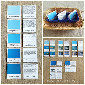 Layers of the Ocean Fish Sorting Activity (Free Printable)
