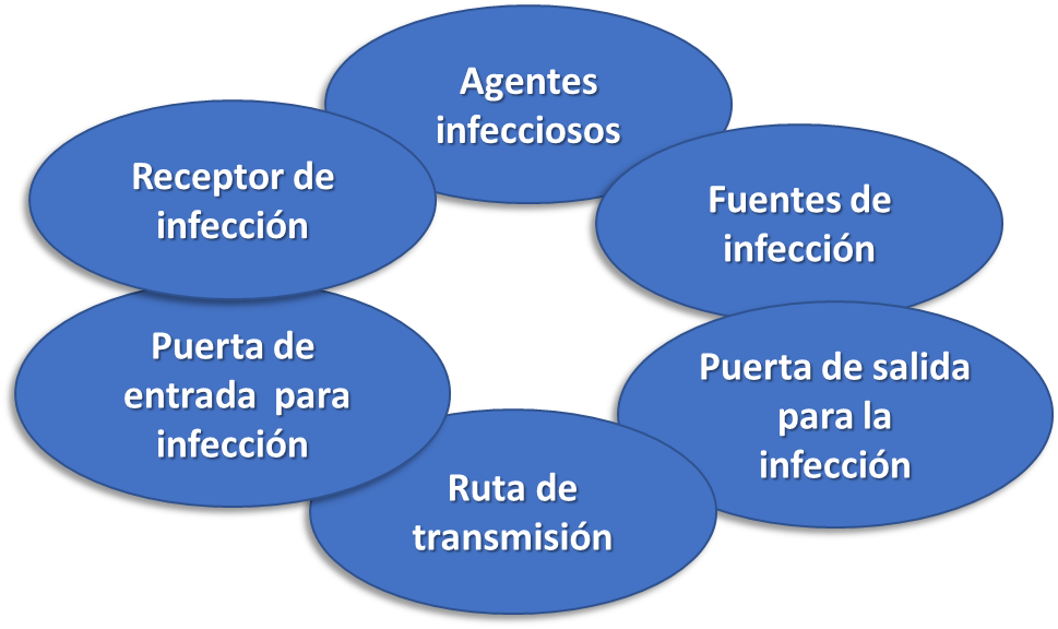 Cadena De Transmision De Infecciones Semiologia Y Enfermeria Basica I ...