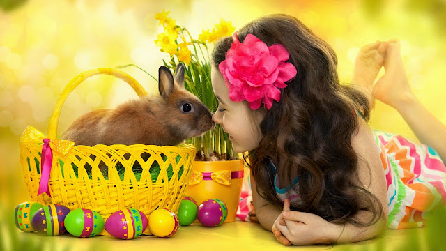 Cute girl and little gray rabbit HD Wallpaperz aklqosh