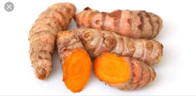 Klasifikasi dan Cara Budidaya Kunyit