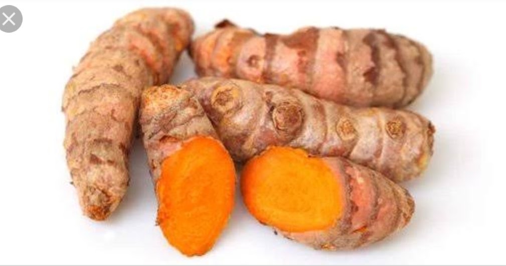 Klasifikasi dan Cara Budidaya Kunyit