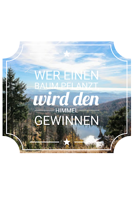 Die 50 besten Zitate zu den Themen Wald und Bäume | Waldzitate | Baumzitate | Naturzitate | Zitate-Wald | Inspirierende-Zitate