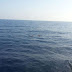  Εισροή υδάτων σε  σκάφος στην Πρέβεζα και βύθισή του Καλά στην υγεία τους οι 4 αλλοδαποί επιβαίνοντες