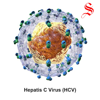 فيروسHCV أو الالتهاب الكبدي الوبائي C