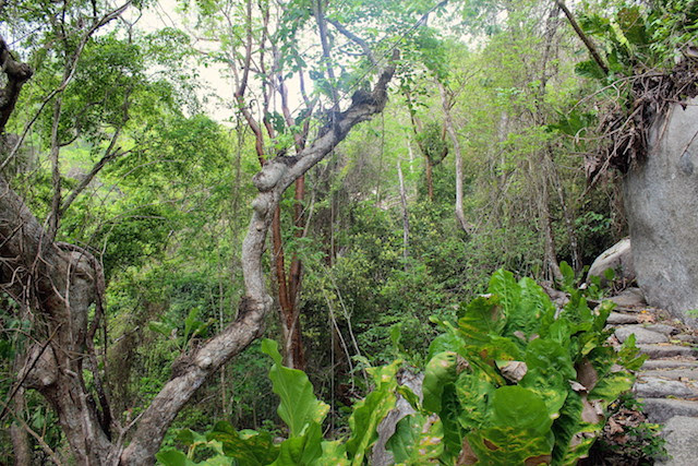 Hiking to Pueblito, Tayrona National Park, Colombia