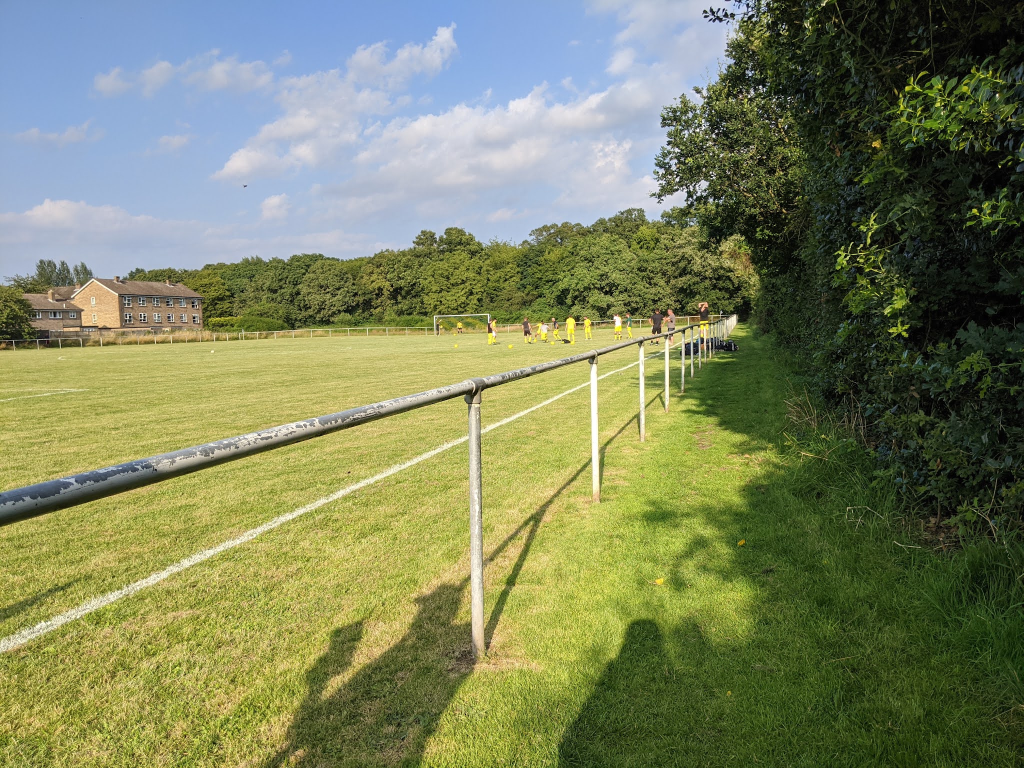 The Wanderer Hertford Heath Trinity Road Playing Fields