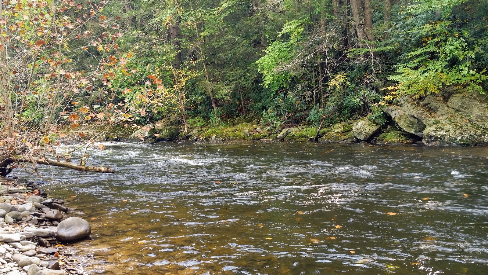 Sick Days Fishing October 10, 2018 Double the Flow Means Double the