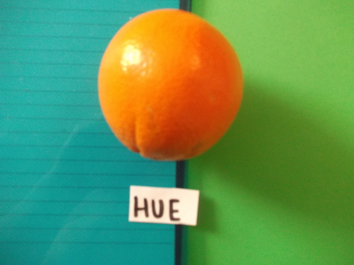 Design Practice: CONTRAST OF HUE PANTONE OBJECT EXPERIMENTS