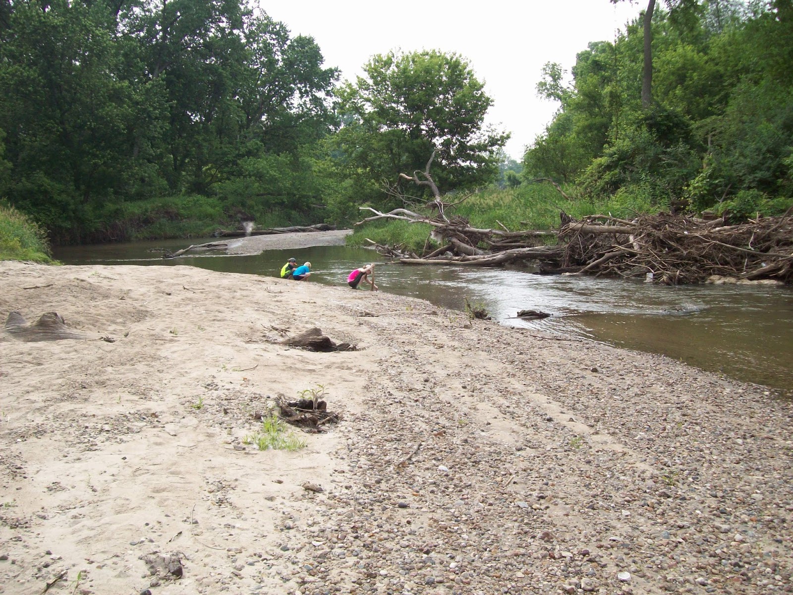 iowa water crisis: Urban Water Pollution