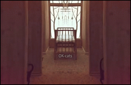 Art Cat GIF • Weird black cats walking in the room. And backwards! Don't try to understand why.... Art Cat GIF • Weird black cats walking in the room. And backwards! Don't try to understand why....