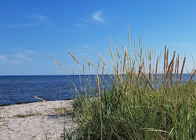 Urlaub in Dänemark: Verliebt in die nördliche Ostseeküste. Der schöne Strand von Asaa an der Ostsee-Seite Nordjütlands.