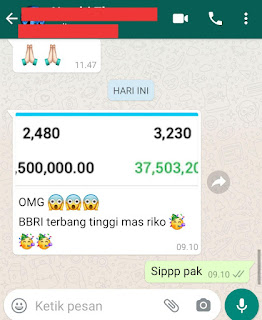 Portofolio Rikopedia dan testimoni member