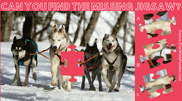 Find the Missing Jigsaw Piece: Dog Lovers Challenge