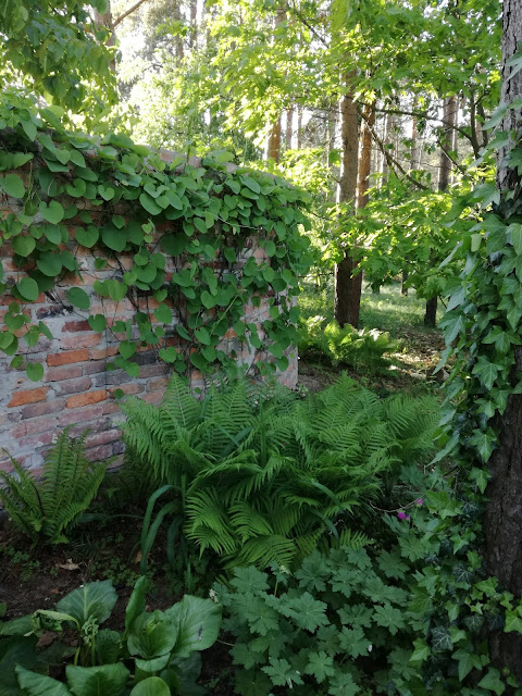 mur z cegły rozbiórkowej w ogrodzie