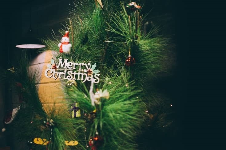 christmas day pic christmas day pic