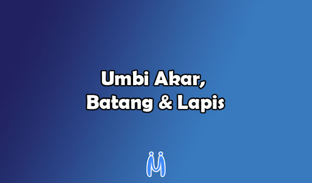 Perbedaan dan Persamaan Umbi Akar, Batang, Lapis mingseli.id