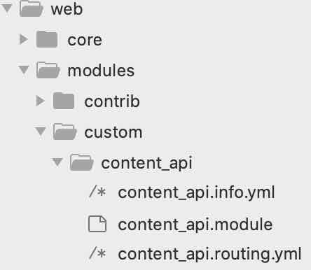 Module info file structure