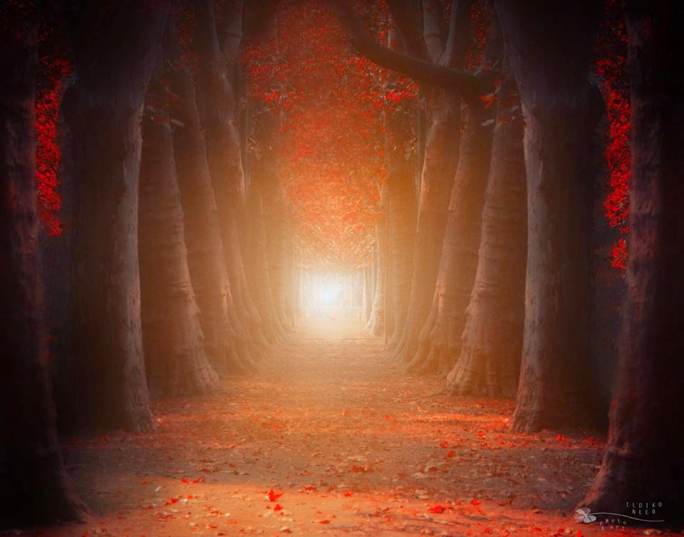 Poema EN EL BOSQUE ESTÁ DIOS, de Víctor Toledo. Libro de Referencia: Mercedes Escolano, "Estelas" Col. La piedra que habla, Ed. El toro de Barro, Carlos Morales del Coso Ed. PVP: 10 euros Pedidos a: edicioneseltorodebarro@yahoo.es Poema EN EL BOSQUE ESTÁ DIOS, de Víctor Toledo. Libro de Referencia: Mercedes Escolano, "Estelas" Col. La piedra que habla, Ed. El toro de Barro, Carlos Morales del Coso Ed. PVP: 10 euros Pedidos a: edicioneseltorodebarro@yahoo.es