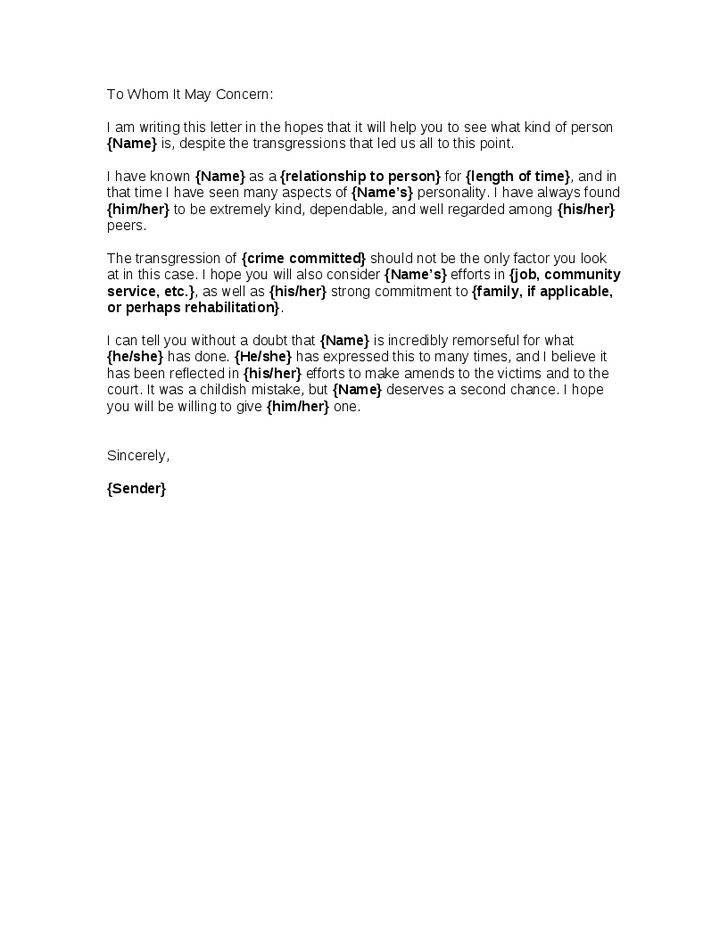 Sample Letter To Judge Letter Format