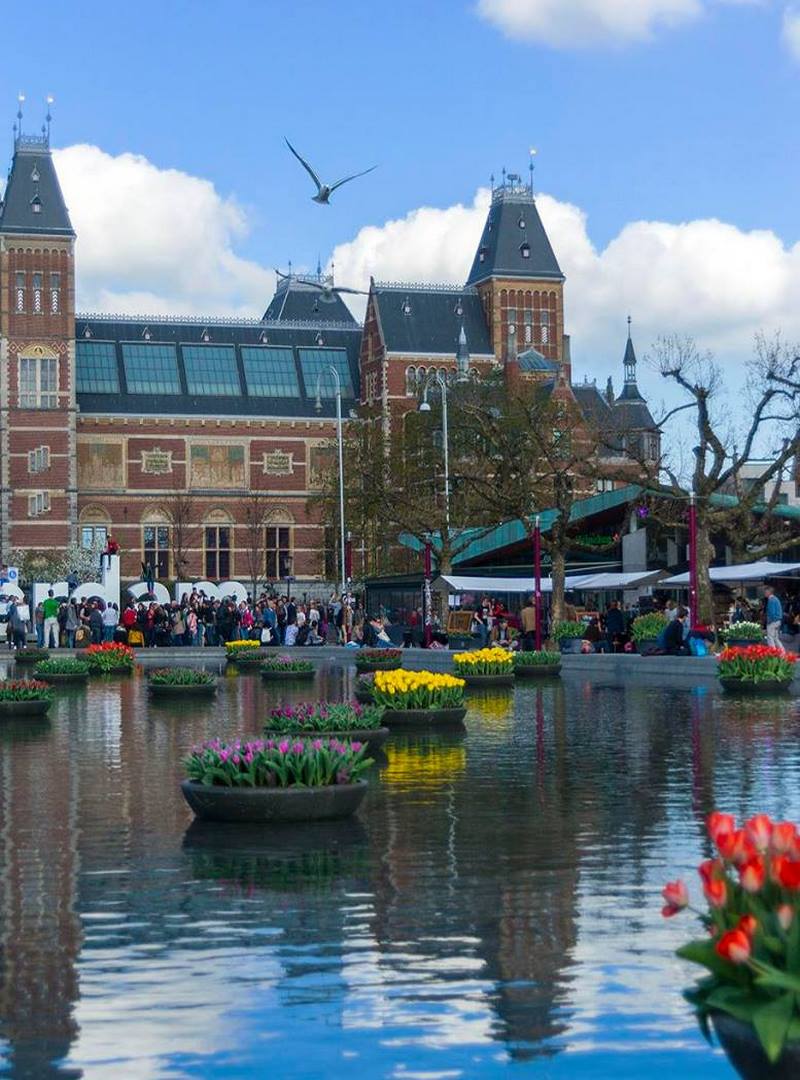 Tulp Festival Amsterdam 2017 medio millón de tulipanes en la ciudad