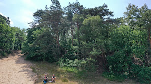 Kijken op het zand