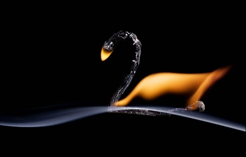 03-Match-Swan-Flame-Russian-Photographer-Illustrator-Stanislav-Aristov-PolTergejst-www-designstack-co