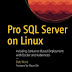 Pro SQL Server on Linux: Including Container-Based Deployment with Docker and Kubernetes 1st ed. Edition PDF